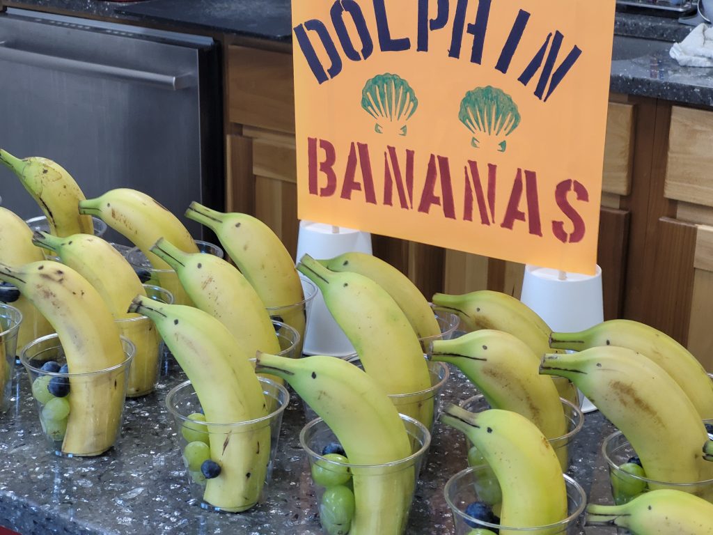 Camp Roga snack - Dolphin Bananas