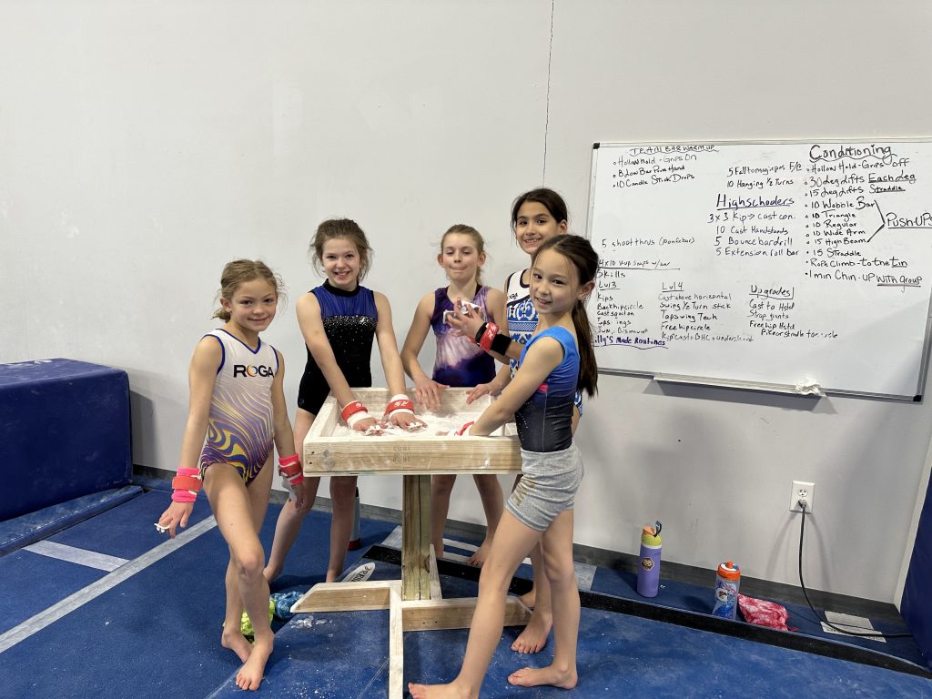 Girls gymnastics group