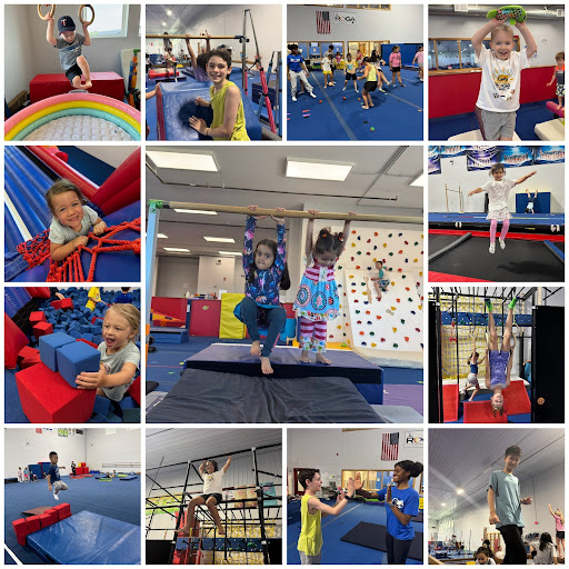 various gymnastics activities