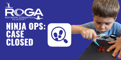 ROGA Ninja Ops: Case Closed