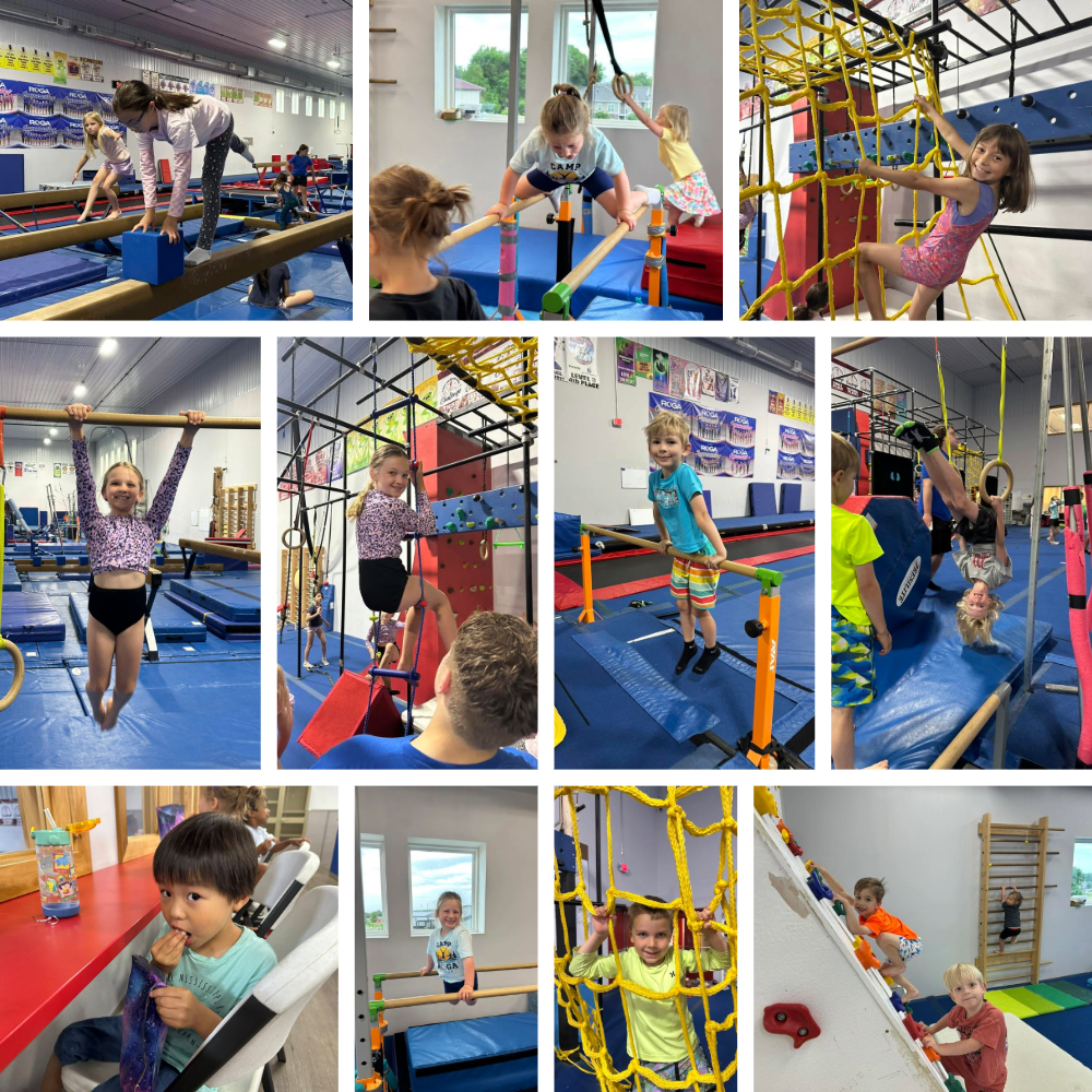 Campers climbing ropes, swinging on bars, balancing, and exploring gymnastics obstacle stations at Camp ROGA summer camp.